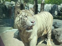 -北京野生动物园