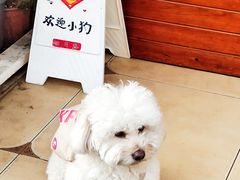 -KAFKA·卡夫卡咖啡(文林店)