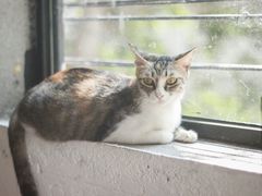 -五月木作·DIY木作文创体验店(北京路店)