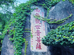 -南普陀寺