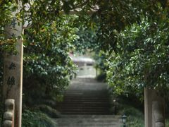 -杭州少年儿童公园
