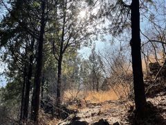 -龙云山风景区-鹿皮关长城