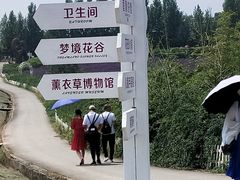 -紫颐香薰山谷景区