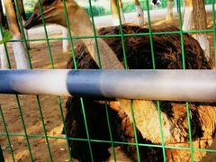 -长白岛森林公园