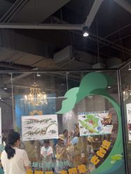 -超级奈尔宝SUPER NEOBIO(杭州星光店)
