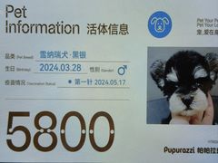 -帕帕拉兹宠物(亚洲旗舰店)