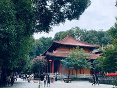 -都江堰普照寺