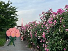 -丹东路渡口(轮渡站)