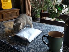 -老屋咖啡