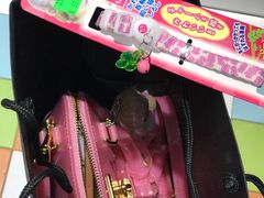 -瑞鹏宠物医院·宠保定点·心脏科·内科(御桥分院)