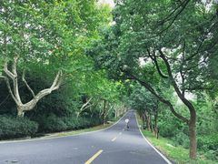 -宜兴龙背山森林公园