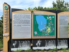 -黑龙江扎龙生态旅游区