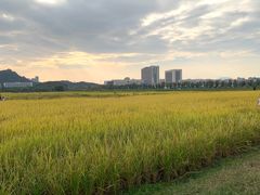 -光明小镇欢乐田园