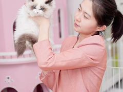 -青奢宠物·青奢猫舍