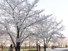 -龙美术馆(西岸馆)