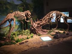 -自贡恐龙博物馆