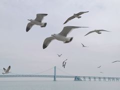 -星海广场