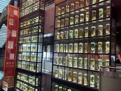 -广东中医药博物馆