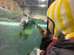 -大连圣亚海洋世界