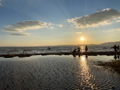 -呈贡滇池生态湿地公园