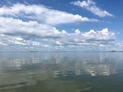 -鄱阳湖国家湿地公园