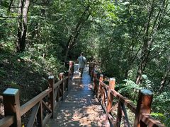 -大岭沟猕猴桃谷风景区