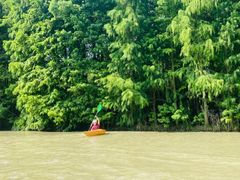 -上海海湾国家森林公园