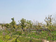 -上海浦江郊野公园-5号停车场