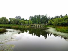 -东郊湿地公园