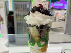 -Salud撒露欧洲冻酸奶(五道口购物中心店)