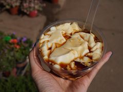 -桂林市花鸟市场