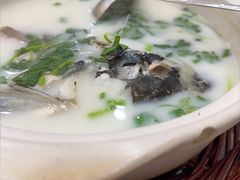 -紫藤园·天目湖大鱼头(南山竹海店)