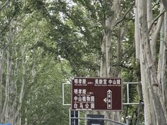 -应天大明王朝·南京菜(中山陵店)