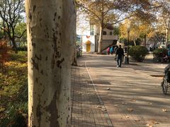 -洛阳市牡丹公园