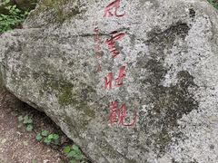 -王顺山国家森林公园