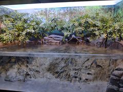 -上海海洋水族馆