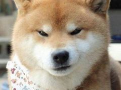 -哈尔滨文化公园