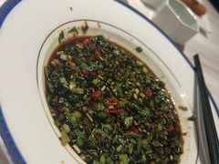 -汤城·料青山