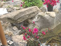 -伴山茶苑·围炉煮茶