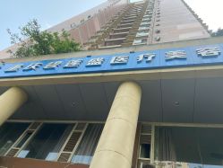 -碧莲盛·不剃发植发
