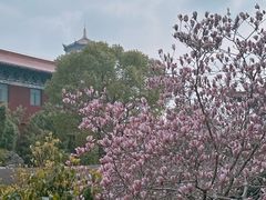 -皇罗禅寺
