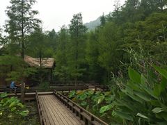 -八卦田遗址公园