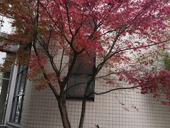 -江南大学(蠡湖校区)