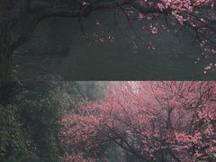 -中国茶叶博物馆(双峰馆区)