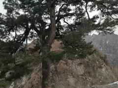 -秦岭终南山世界地质公园翠华山景区