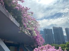 -深圳仙湖植物园