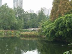 -重庆彩云湖湿地公园