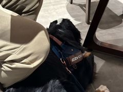 -卢小厨私房菜(长兴店)