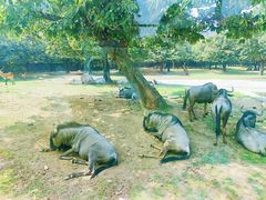 -西安秦岭野生动物园