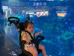 -成都浩海立方海洋公园